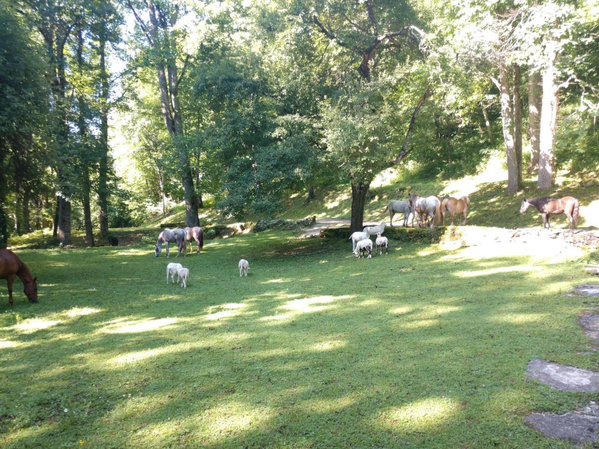 Arrowmont Stables & Cabins Cullowhee Exterior foto
