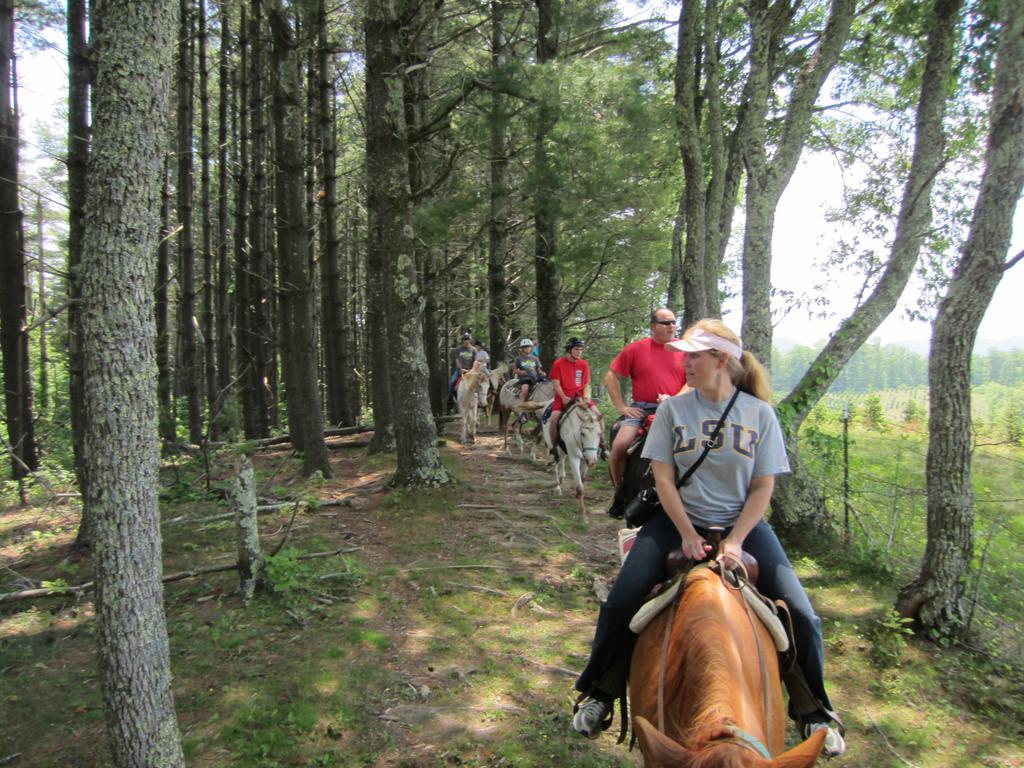 Arrowmont Stables & Cabins Cullowhee Exterior foto